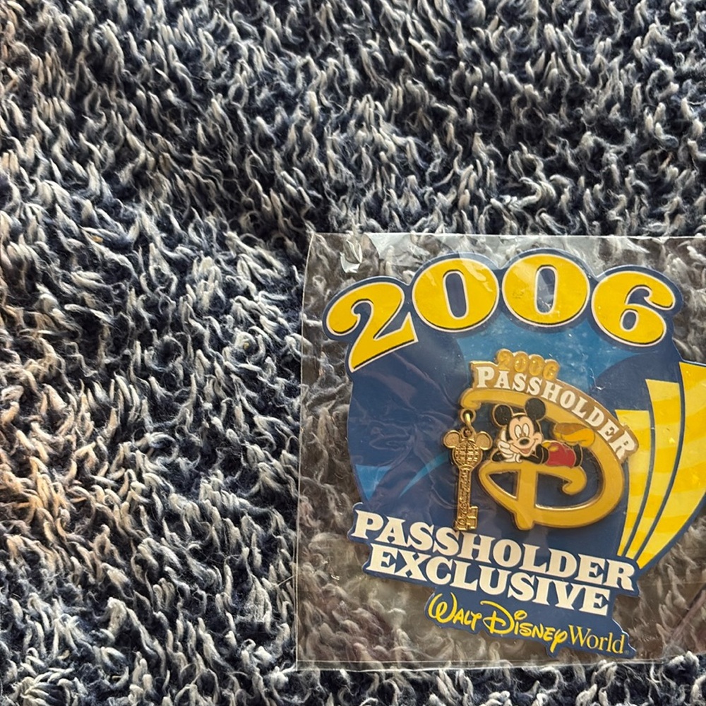 Disney pin